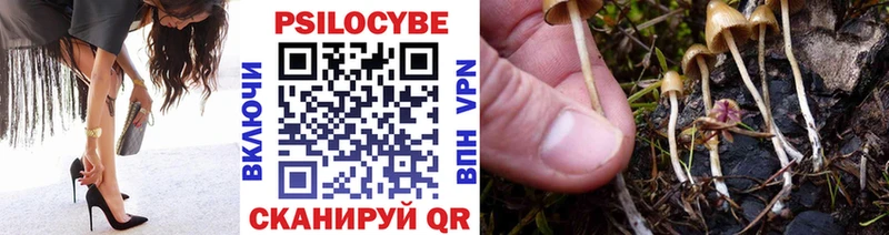 Псилоцибиновые грибы Psilocybine cubensis  Татарск 